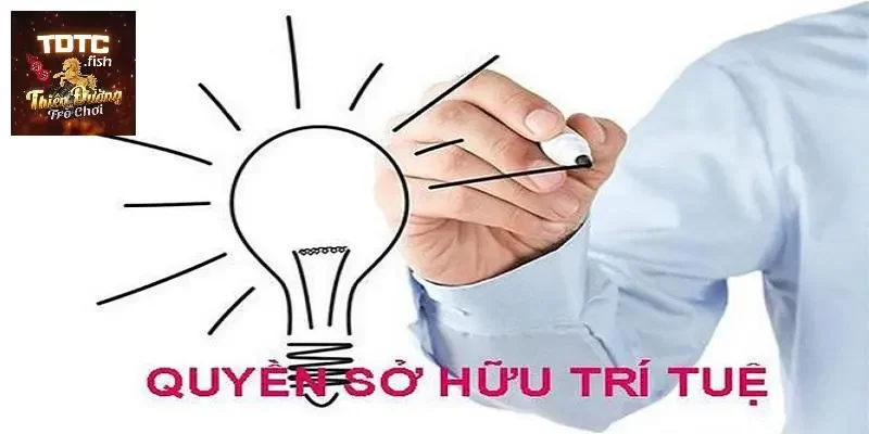 Quyền sở hữu trí tuệ trong điều khoản điều kiện TDTC