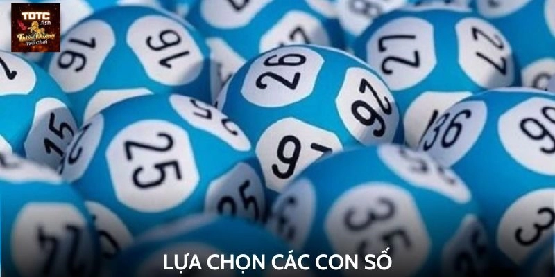 Lựa chọn các con số